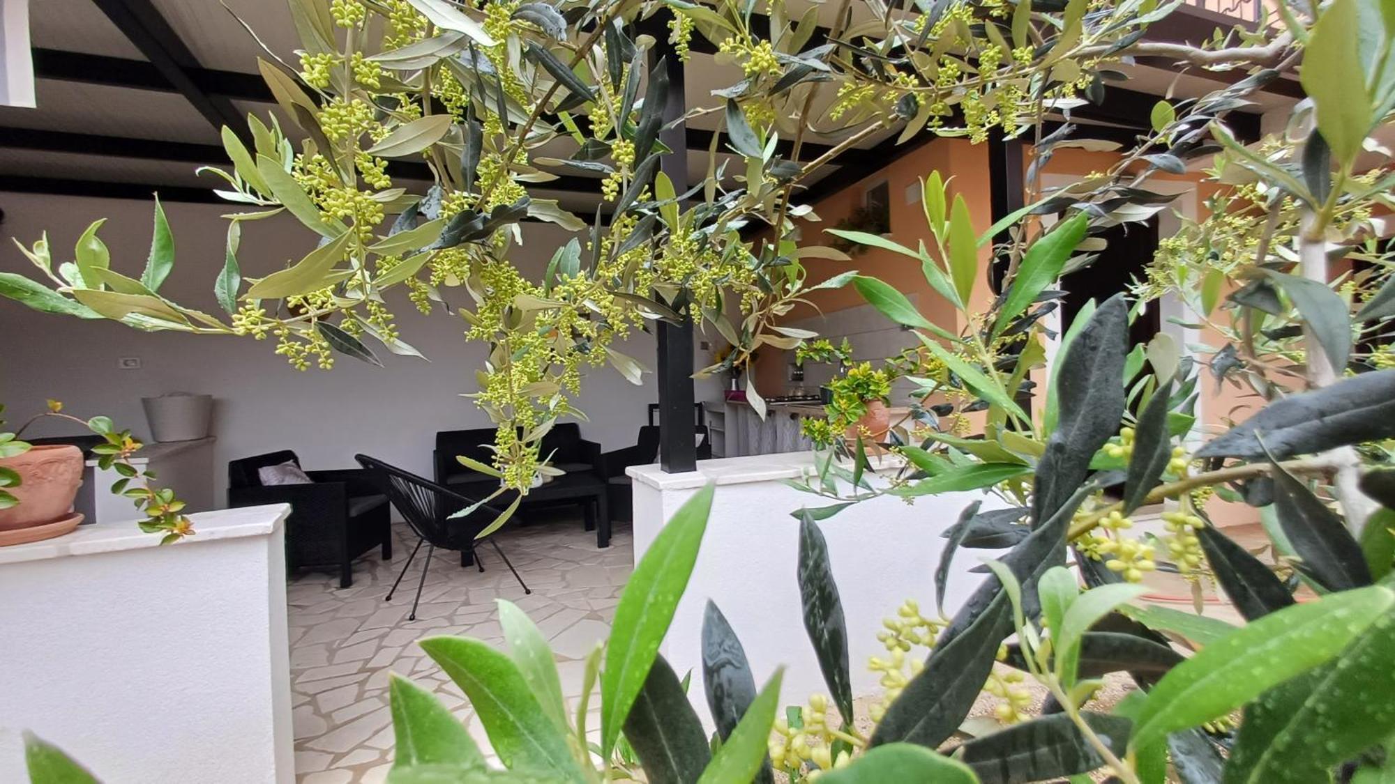 דירות פורץ Casa Simeti מראה חיצוני תמונה